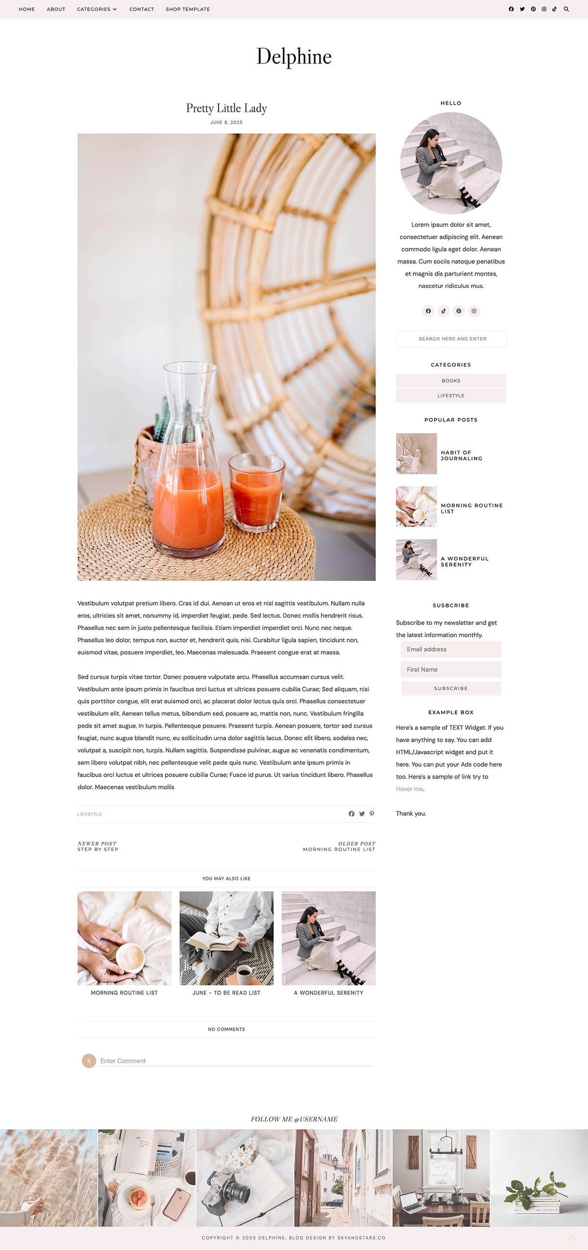 Delphine Blogspot Template - Image 3